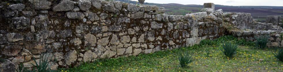 モロッコの世界遺産の古代ローマ遺跡のヴォルビリスを観光した様子についての旅行記レビューブログです
